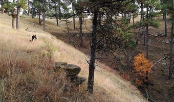 Lot 3 BBCR Road, Belle Fourche, SD 57717
