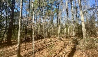 0 Tervin Mill Rd, Andalusia, AL 36421