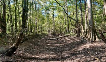 0 Lloyd Mill Rd, Andalusia, AL 36421