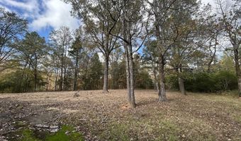 4 Co Rd 325, Big Creek, MS 38914