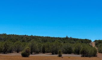 Stagecoach Dr 47 Acres, Ash Fork, AZ 86320