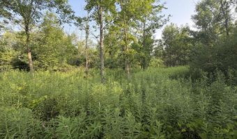 9653 52nd Ave, Allendale, MI 49401