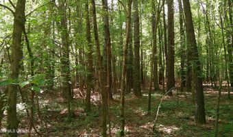 Pleasant Hills Road, Amory, MS 38821