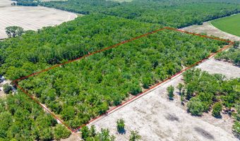 NW 40th Ave, Bell, FL 32619