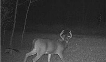 999 Porcupine Trl, Aitkin, MN 56431