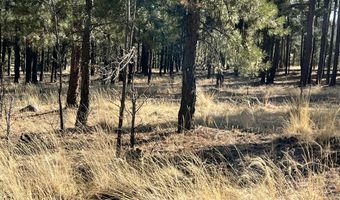 County Road N2147 lot C, Alpine, AZ 85920