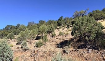 Stable Road 3, Alto, NM 88312