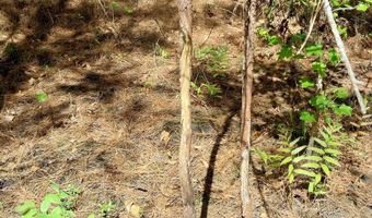 00 Hadwin Rd, Bamberg, SC 29003