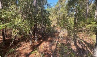 Lot 10 16th Ave, Bell, FL 32619