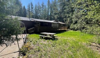 54785 McKenzie River Dr, Blue River, OR 97413