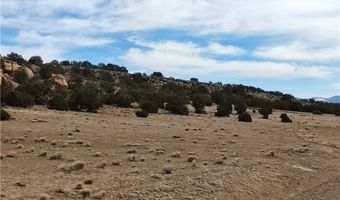 15 County Rd N8641, Concho, AZ 85924