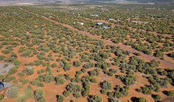 233 Co, Concho, AZ 85924