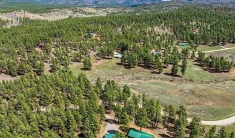 841 Beaver Creek Dr, Bayfield, CO 81122