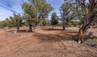 2137 Graphite Rd, Clay Springs, AZ 85923