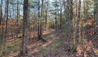 1656 Scroggins Creek Rd, Bee Branch, AR 72013