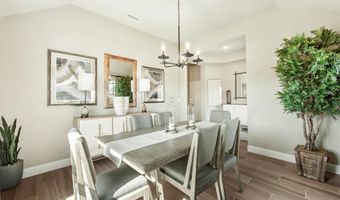 805 Twin Pine Ct, Anna, TX 75409