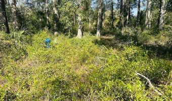 1219 N Paris St, Bell, FL 32619