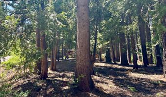 2913 Zuni Dr, Arnold, CA 95223