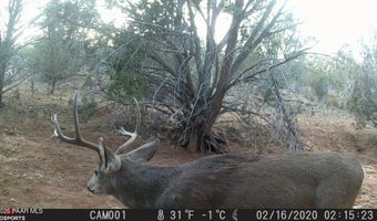 918 Wolf Rd, Ash Fork, AZ 86320