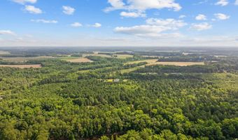 TBD Lee Ln, Bennettsville, SC 29512