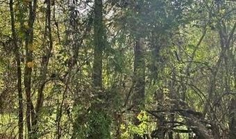 00 JARRELL TOWN Rd, Bogalusa, LA 70427