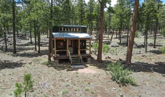 1048 N Forest Ln, Greer, AZ 85927