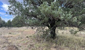 415 XYZ, Arenas Valley, NM 88022