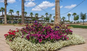 1110 N Henness Rd 1775, Casa Grande, AZ 85122