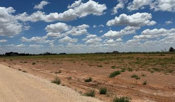 SE CR 2870, Andrews, TX 79714
