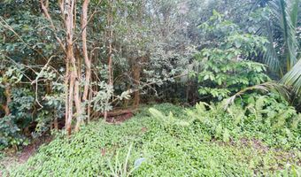 16 TH Ave, Keaau, HI 96749