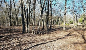 Lot 221 Banjo Court, Alvord, TX 76225