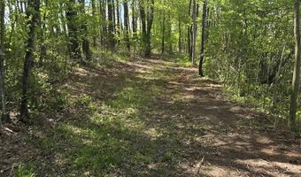 15252 27 Mile Rd, Albion, MI 49224