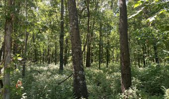000 Lawrence 1200, Aurora, MO 65605