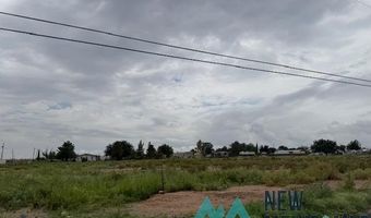 1329 Crabb St, Carlsbad, NM 88220