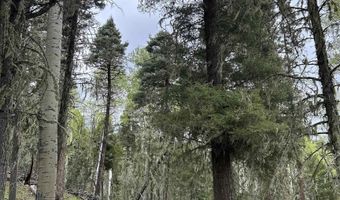 Lot 1419 Sacramento, Angel Fire, NM 87710