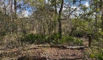 SW 22nd Pl, Bell, FL 32619
