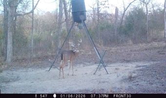 80 N4130 Rd, Antlers, OK 74523