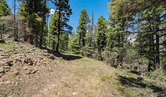 Lot 148 Brazos Dr, Angel Fire, NM 87710