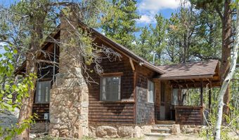 84 County Road 113 N, Allenspark, CO 80510