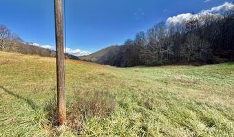 1520 Brittontown Rd, Afton, TN 37616