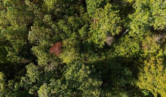 501 Caldwell Rd, Blacksburg, SC 29702