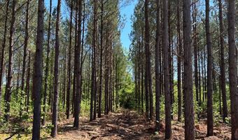000 Bounty Acres Rd W, Bennettsville, SC 29512