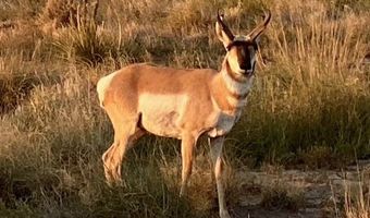 100 Carbide Ln, Carrizozo, NM 88301