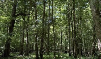 county road 222, Abbeville, AL 36310