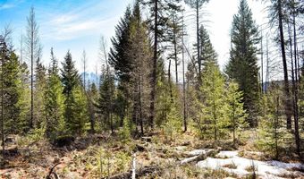 Lot 2 Meadow Springs Subdivision, Fortine, MT 59918