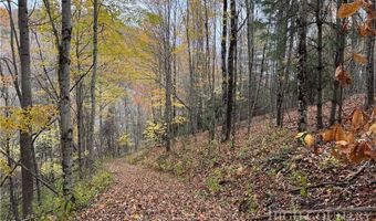 Rominger Road, Banner Elk, NC 28604