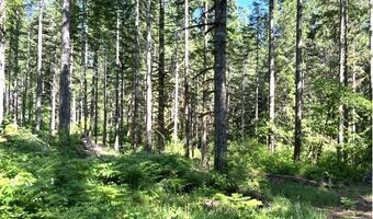 Tunnel Tract Parcel2, Banks, OR 97106