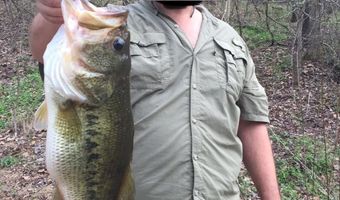 001 Farr Rd, Bolton, MS 39041