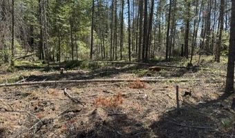 NKA Abundant Life Lot 2 Court, Athol, ID 83801