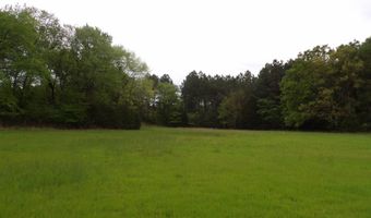4100 Six Mile Rd N, Antlers, OK 74525
